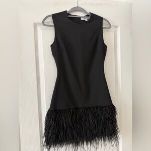Elizabeth James Black Feathered Hem Dress